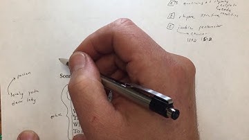 Shakespeare: Sonnet 2: When forty winters shall besiege the brow