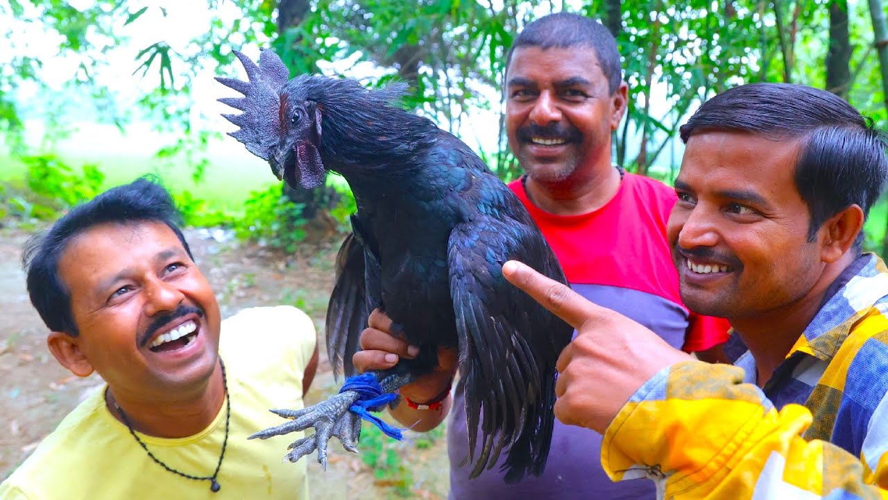 Kadaknath chicken curry cooking process | Black chicken curry | village cooking vlog