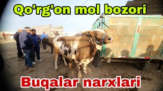 Romitan Qo'rg'on mol bozori buqalar narxlari 4-may, 2023