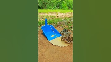 Easy Bird Trap Technique - Quail Trap # simple bird trap #video shorts