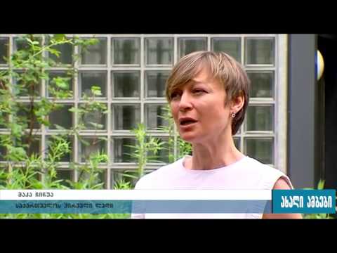 ქართული დელეგაცია გერმანიაში ვიზიტს განაგრძობს 30.06.2016