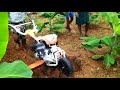 పవర్ టిల్లర్ 7hp stihl కంపెనీ బొప్పాయి అరటి కలుపు