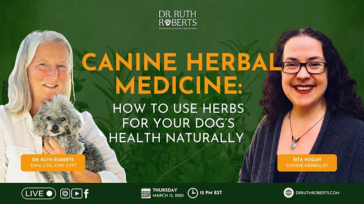 🐶🌿 Canine Herbal Medicine: How to Use Herbs for Your Dog’s Health Naturally