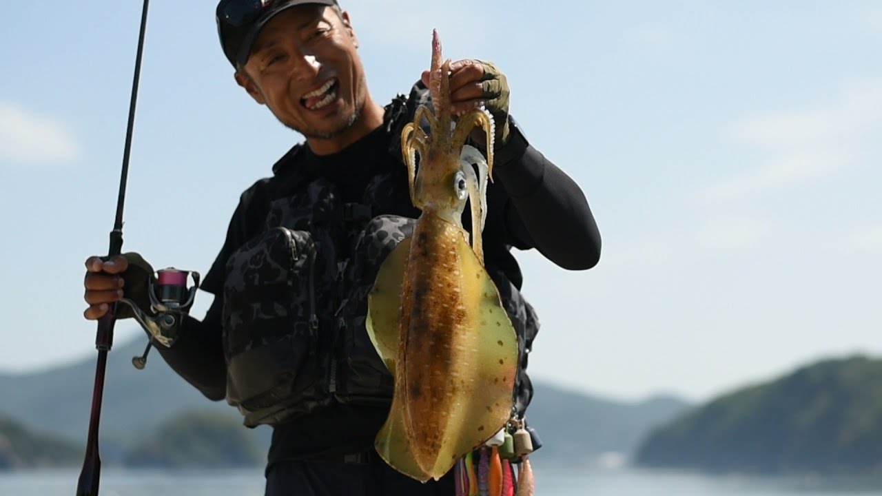 湯川マサタカ氏・牡鹿半島で貴重な1.7㎏アオリイカをキャッチ！【藻場に群がるアオリイカの撮影にも成功】