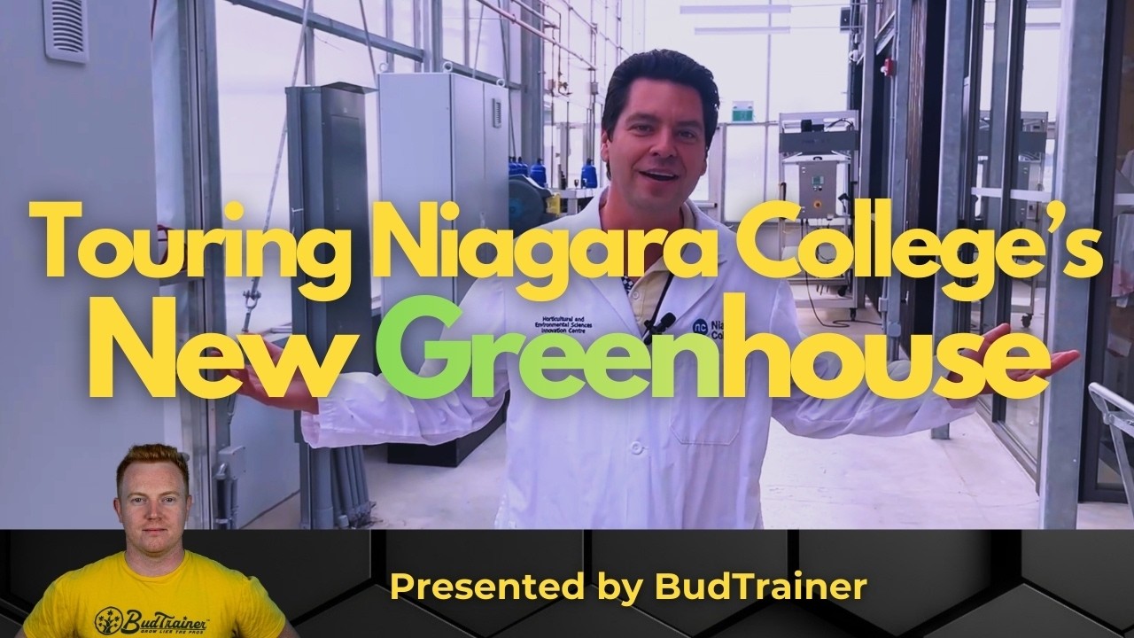 Внутри новой теплицы колледжа Ниагара (экскурсия по Центру садоводческих инноваций!)