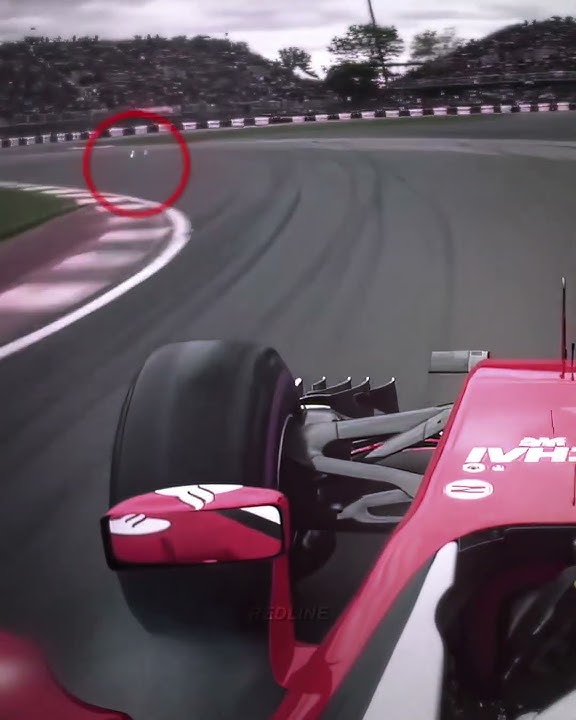 Animals meet F1 vs MotoGP... 💀