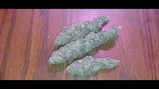 Final Results for Dat ASS Clone