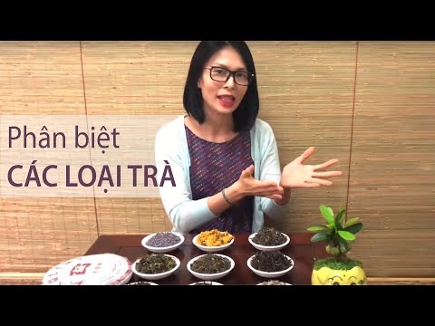 Video: Mọi Thứ Bạn Cần Biết Về Trà Trắng