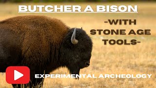 Butchering a Bison With Stone Tools | Stone Flake, Hand Axe, Stone Knife archeology stonetools