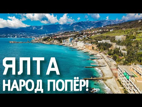 Ялта. Отрадное Крым. Пляжи, подготовка к сезону 2021. Цены на отдых. Корги Федор первый раз на море