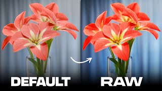 The Secret to Rendering Vibrant Colors with AgX in Blender is the Raw Workflow