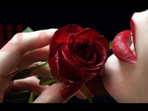 حبيبى يا ملاك تصميم الوسيم