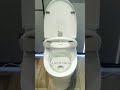 Самый что ни на есть прокаченный унитаз!