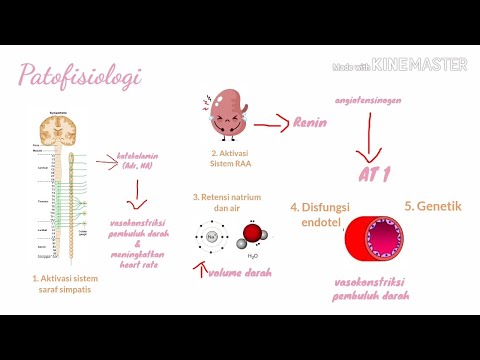 Klasifikasi, Patofisiologi Hipertensi | Tekanan Darah Tinggi