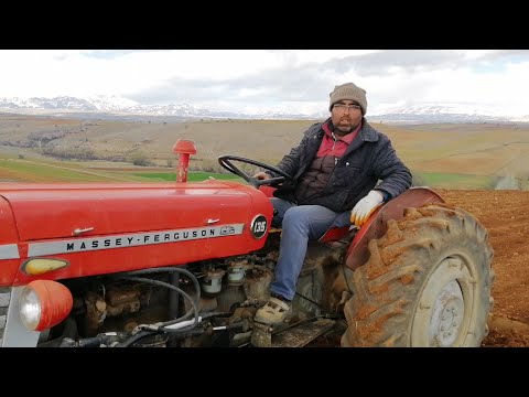 MASSEY FERGUSON 135 MEMNUNİYETİ (Türk fiat 480 ve fiat 540 aratmaz diyor)