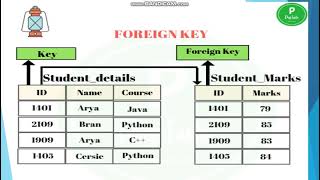 XII COMPUTER APPLICATIONS CHAPTER 3