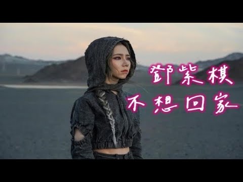 G.E.M. 鄧紫棋【不想回家SOLITUDE】(SL Remix)
