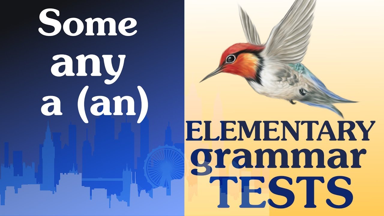 7 Elementary Grammar test Some / any / a (an)
