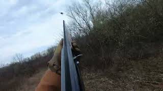 Indiana Pheasant Put and Take