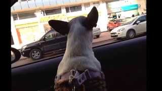 Cukulat 541 - In Traffic - Istanbul Da Son Gecem - Kızılcahamamlı Ahmetten Ankarada Bu Son Gecem