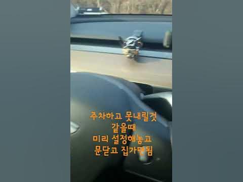 테슬라 모델Y 자동주차 - Youtube