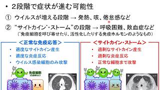 20分で大ざっぱに分かる新型コロナウィルス（v3.0）変異、重症化、治療、ワクチン