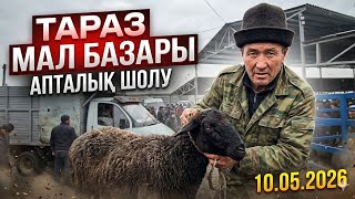 ​Тараз мал базарының бүгінгі бағасы | Апталық шолу.