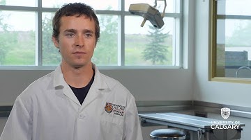 UCalgary_Rooster_video