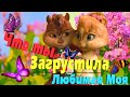 Нет на свете Милая 💋 Таких как ты Любимая ❤ Ну Очень Мило просто слов нет 💞 Бурундучки с Любовью 💋