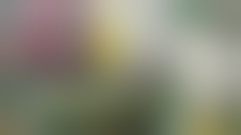 P40 Lite Huawei ID Bypass Without Any File All huawei remove Huawei id Android 10.1 with test point