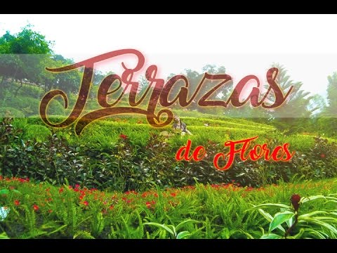 Terrazas de flores botanical garden