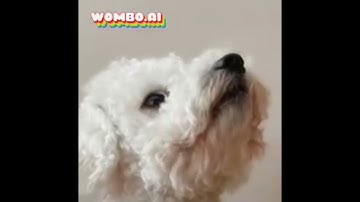 Preview 2 mosh deepfake