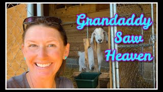 Grandparent Strength & Baby Goat Planning