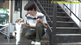 映画『犬部！」中川大志のさまざまな表情！メイキング映像