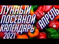 ЛУННЫЙ ПОСЕВНОЙ КАЛЕНДАРЬ ОГОРОДНИКА!!! БЛАГОПРИЯТНЫЕ ДНИ!!!