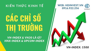 Các chỉ số thị trường | VN-index và VN30 là gì?