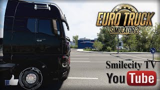 ETS2 Live. Euro Truck Simulator 2. С Грузом По Европе. MAN TGX Individual Lion S. Конвой. #959