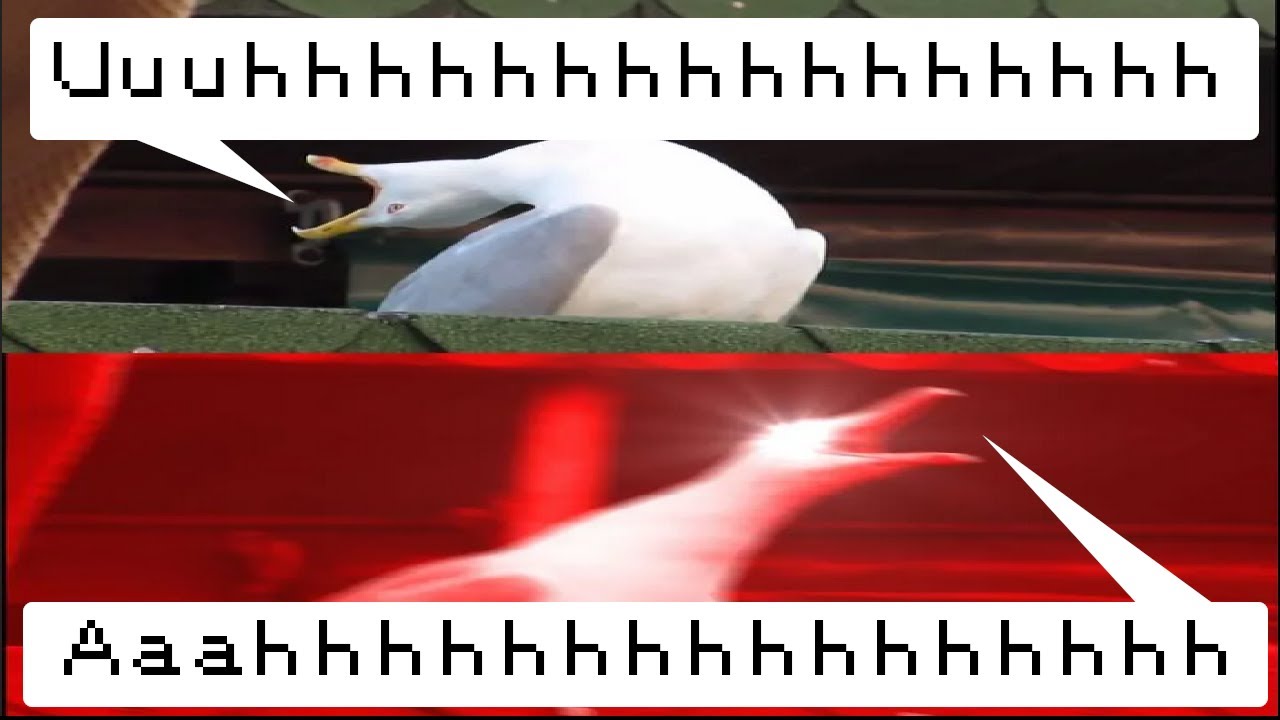 BP Grinding and Gen 4 RNG Manipulation