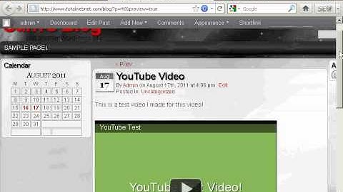 Video 20 - How to Add YouTube Videos to WordPress Automatically.avi
