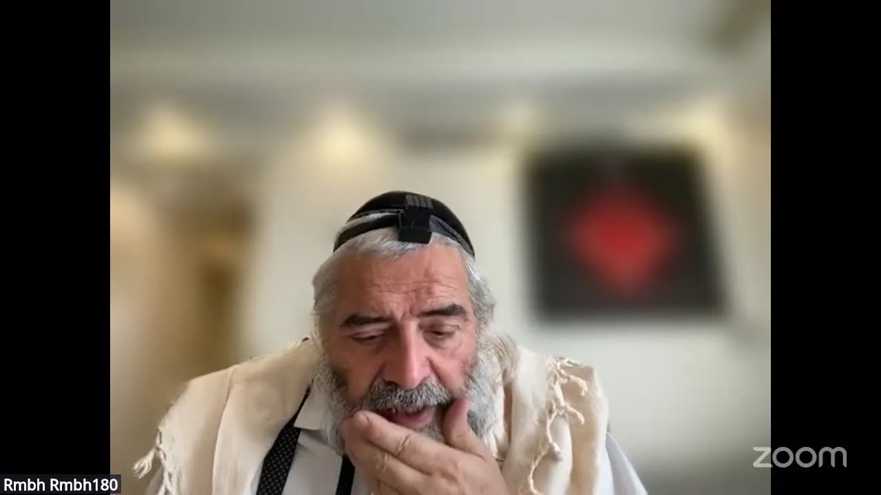 Daf HaYomi - Zevahim 65
