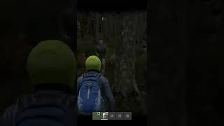Охрана леса)стримлю на твиче Psourq. #psourq #twitch #dayz