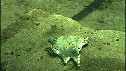 Solar Fresnel Lens melting metal with power of the sun