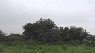 KDS5 5 炒機皇 20140424 1