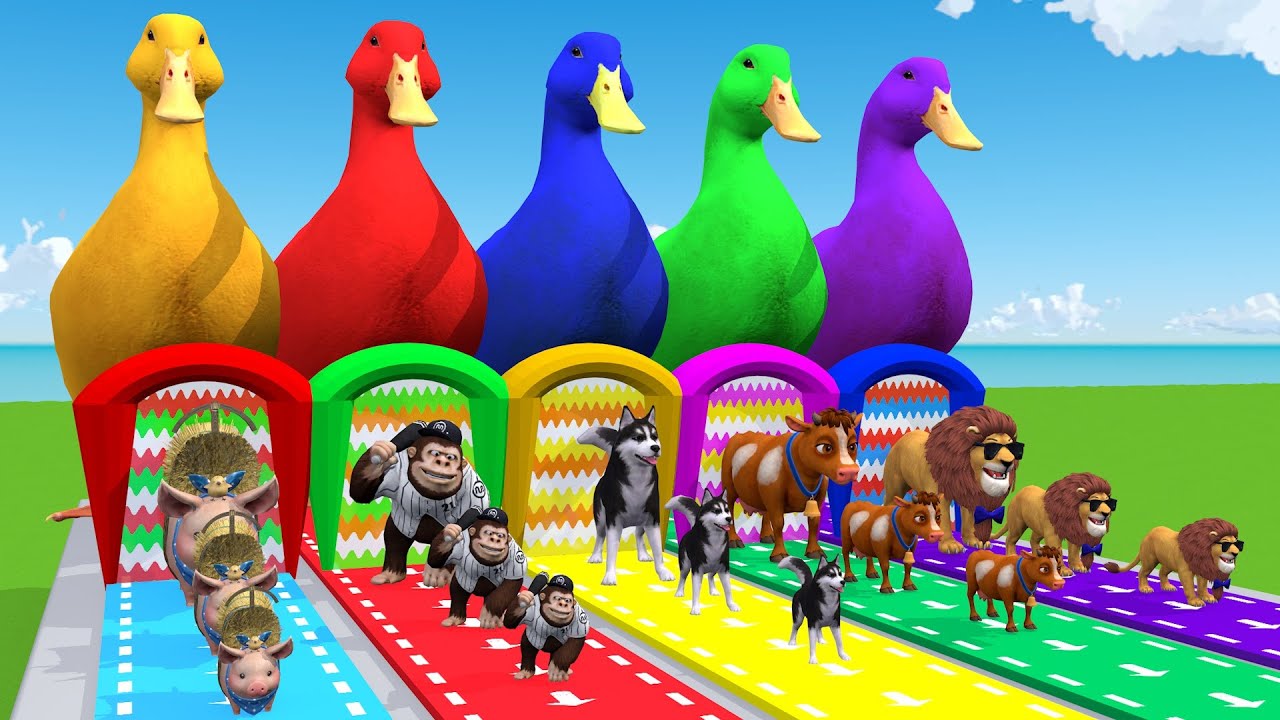 5 Giant Duck Cartoon,Elephant,Cow,Duck,Dinosaur,Lion Paint Wild Animals Crossing Fountain Animation