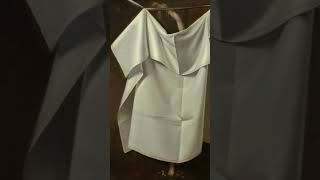 Venus Rising from the Sea, a Deception (c. 1822) by Raphaelle Peale