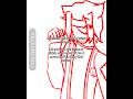 It’s 6 am in the morning i gtg to school soon. I don’t want to go. #alanbecker #animationvsanimator