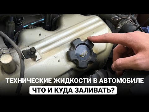 ТЕХНИЧЕСКИЕ ЖИДКОСТИ В АВТОМОБИЛЕ. ЧТО И КУДА ЗАЛИВАТЬ?