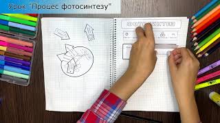 Тиждень 10. Як виникло життя на Землі (Інтерактивний зошит ЯДС)