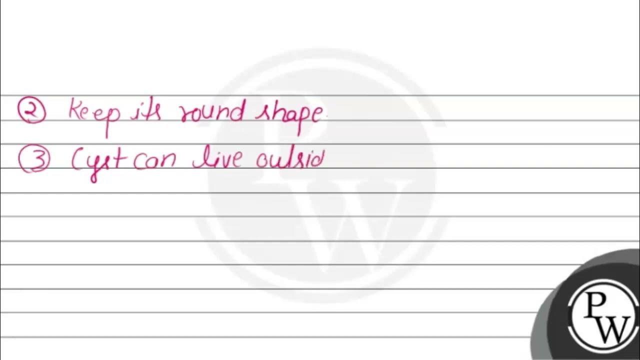 Write short notes on YouTube