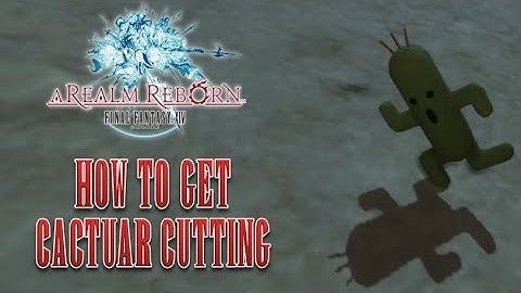 Final Fantasy XIV ARR - How to Get Cactuar Minion - Quest: Zombies Are People Too